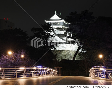 漂浮在樹叢間的白色城堡－鷗外大橋夜景Ⅱ 129922857
