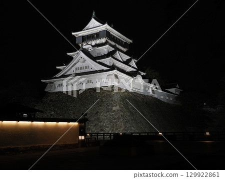 White Layers Floating in the Darkness - Night View of Kokura Castle III White Layers Floating in the Darkness - Night View of Kokura Castle III 129922861