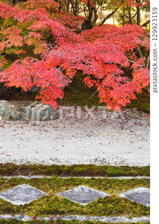 Tenjuan, a sub-temple of Nanzenji Temple, with beautiful autumn foliage (Higashiyama Ward, Kyoto City, Kyoto Prefecture) 129923159