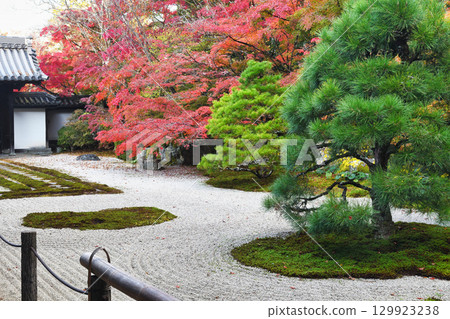 Tenjuan, a sub-temple of Nanzenji Temple, with beautiful autumn foliage (Higashiyama Ward, Kyoto City, Kyoto Prefecture) 129923238