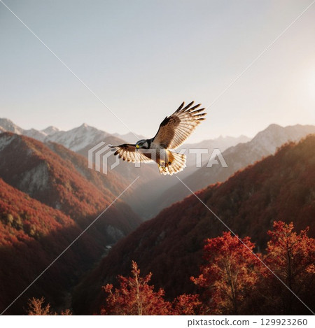 A white-tailed eagle flying against the backdrop of autumn foliage 129923260