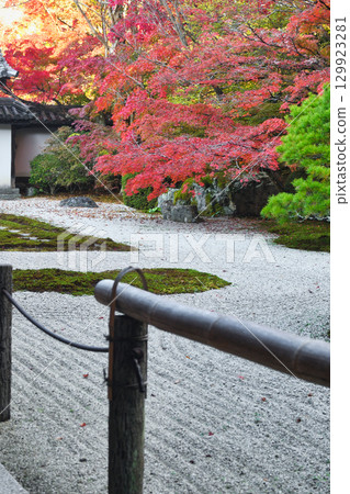 南禪寺的分寺天壽庵，紅葉美麗（京都府京都市東山區） 129923281