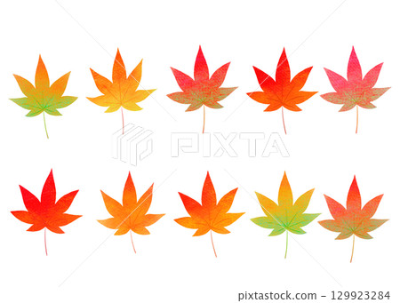 秋季彩色楓葉插畫 秋季彩色楓葉插畫 129923284