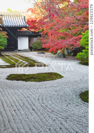 Tenjuan, a sub-temple of Nanzenji Temple, with beautiful autumn foliage (Sakyo Ward, Kyoto City, Kyoto Prefecture) 129923379