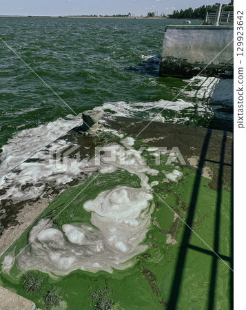 A weathered pier bollard with waves and green algae in the sea. A bollard stands on a pier, waves crash against the side, with algae and foam. Green water flows, a sign of nature's power and beauty. 129923642