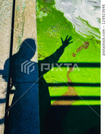 The shadow of a reaching hand contrasts with a green algae bloom. A striking silhouette of a person's hand and arm is cast across a vibrant green algae bloom, a contrast of light and shadow. Ecology. 129923646
