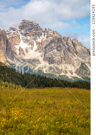 Blooming Meadow and Snow-Capped Mountain Peaks 129924193