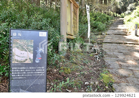 美濃國岩村城：與女性城主相關的山城 129924621