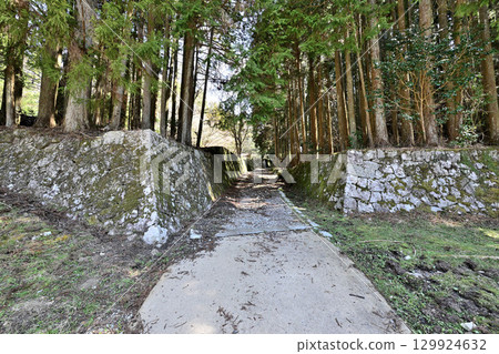 美濃國岩村城：與女性城主相關的山城 129924632