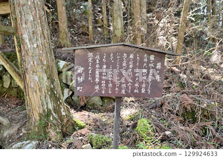 美濃國岩村城:與女性城主相關的山城 美濃國岩村城:與女性城主相關的山城 129924633