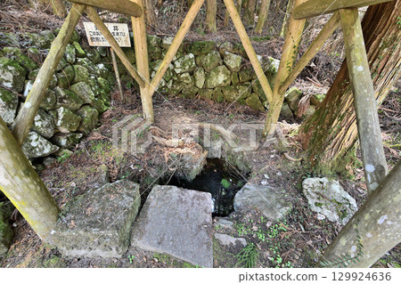 Iwamura Castle in Mino Province: A mountain castle associated with a female castle lord 129924636