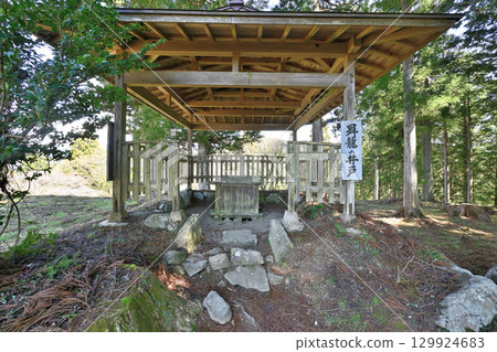 美濃國岩村城：與女性城主相關的山城 129924683
