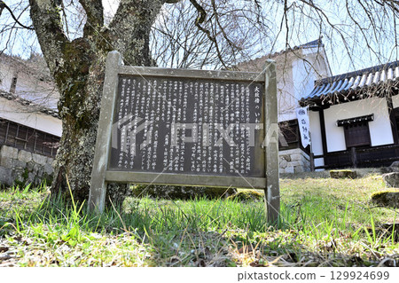 美濃國岩村城：與女性城主相關的山城 129924699