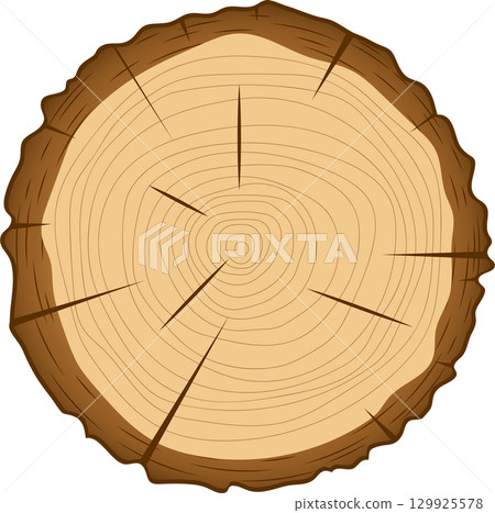 Illustration of a cut tree showing annual rings and star pattern; representing age & growth. Illustration of a cut tree showing annual rings and star pattern; representing age & growth. 129925578