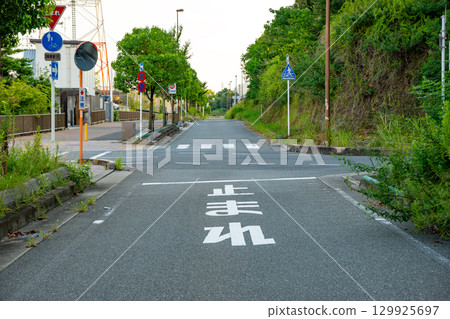 第二京阪高速公路旁的停車標誌和行人穿越道 129925697