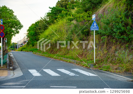 第二京阪高速公路岔路口沒有紅綠燈標示的行人穿越道 129925698