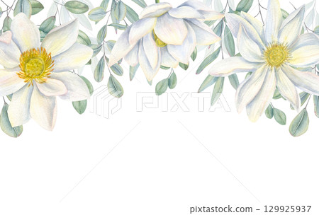 Watercolor white lotus flower heads and eucalyptus leaves horizontal border on isolated background. Floral frame with copy space for text. Valentine day invitations, mother day greeting cards. 129925937