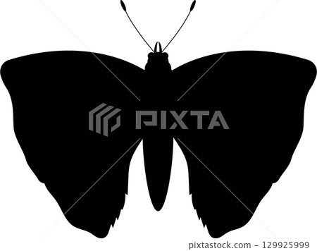 Complete Darkness: The absence of light creates a monochrome field of black in the image. Complete Darkness: The absence of light creates a monochrome field of black in the image. 129925999