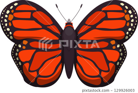 Vibrant butterfly displaying beautiful orange and black patterns, showcasing nature's artistry. Vibrant butterfly displaying beautiful orange and black patterns, showcasing nature's artistry. 129926003