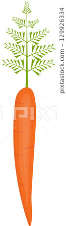 Vibrant orange carrot with feathery green leaves against a stark black background. 129926334