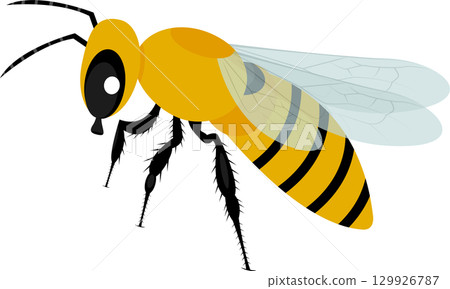 Cartoon bee with yellow and black stripes, transparent wings, and antennae on a black background 129926787
