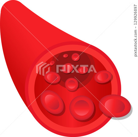 A stylized illustration of a blood vessel with red blood cells circulating within the stream. A stylized illustration of a blood vessel with red blood cells circulating within the stream. 129926897