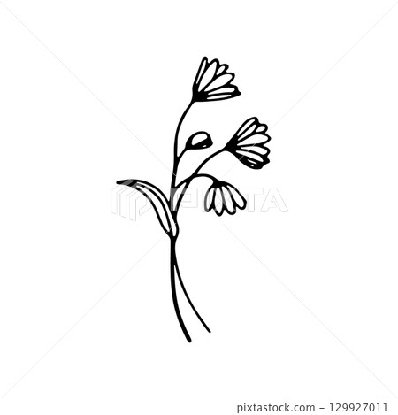 Illustration of delicate flowers showcasing a minimalist design with intricate details and elegant lines 129927011