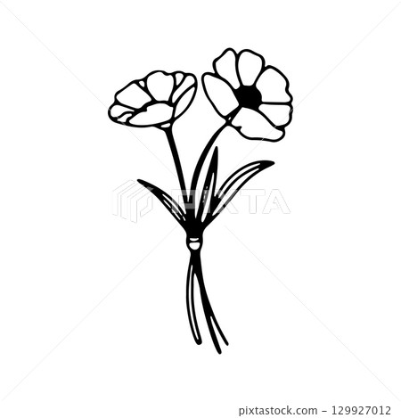 Two delicate flowers with leaves capturing the essence of nature in a simple, elegant botanical illustration 129927012