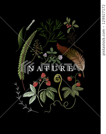 Autumn Vector Wood Fern Plants Berries Botanical Nature Floral Illustration 129927172