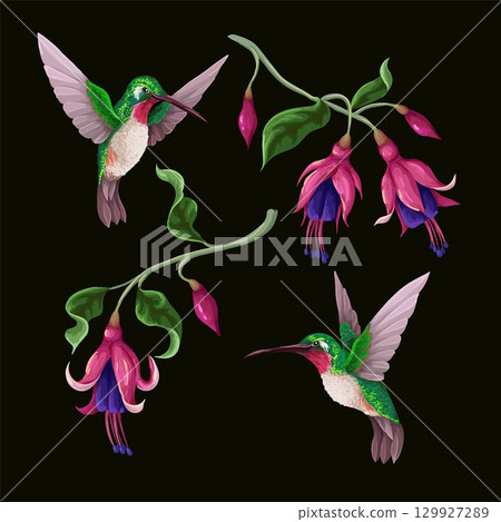 Hummingbirds and tropical flowers isolated. Trendy vector print 129927289