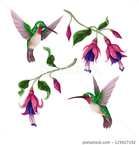 Hummingbirds and tropical flowers isolated. Trendy vector print 129927292