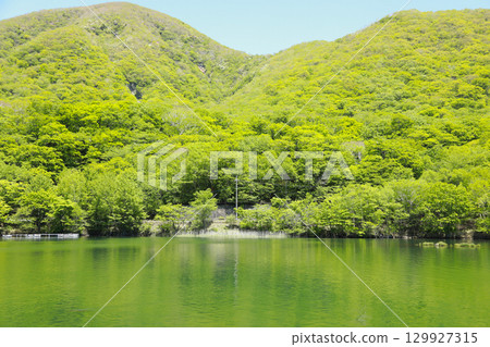Lakeside surrounded by fresh greenery 129927315
