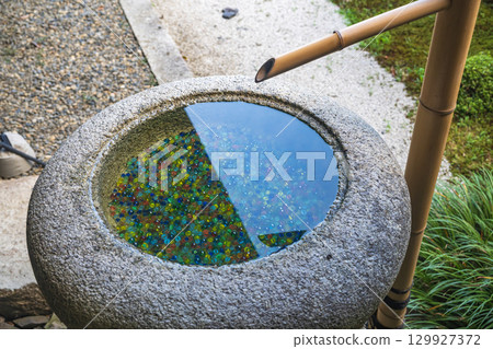 在花園裡 129927372