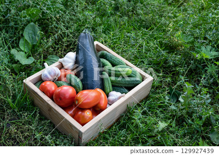 Freshly harvested vegetables including cucumbers, tomatoes, and garlic in a wooden crate surrounded by grass in a garden setting 129927439