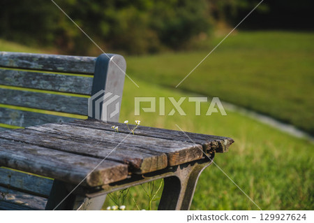 [Hyogo Prefectural Arima Fuji Park] Wooden benches set up in the park 129927624