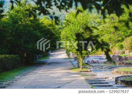[Hyogo Prefectural Arima Fuji Park] A park rich in nature 129927637