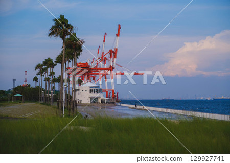 [六甲海上公園]黃昏的港口風景 129927741