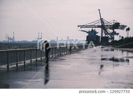 [Rokko Marine Park] Port scenery at dusk 129927750