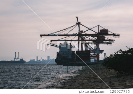 [Rokko Marine Park] Port scenery at dusk 129927755