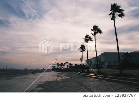 [Rokko Marine Park] Port scenery at dusk 129927767