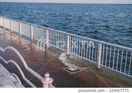 [六甲海上公園] 享受釣魚樂趣的人們 129927775