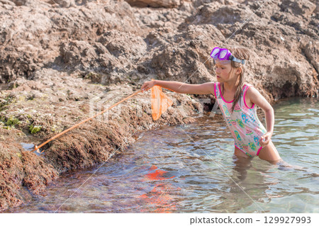 Young girl in colorful swimsuit exploring rocky shoreline while using net to catch sea creatures  Young girl in colorful swimsuit exploring rocky shoreline while using net to catch sea creatures  129927993