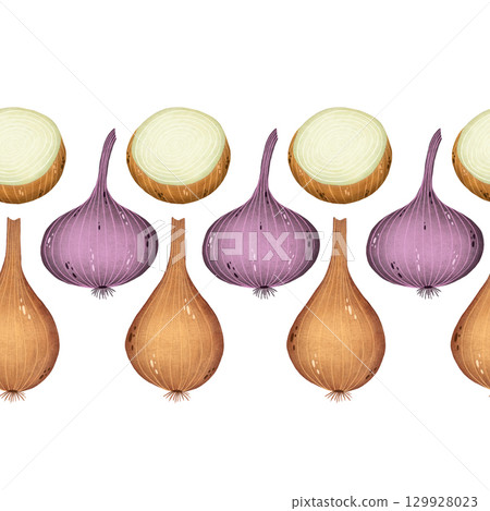 Seamless watercolor border featuring yellow and red onions on a white background. Rustic and charming, perfect for culinary designs, farmers market themes, and kitchen decor. Hand-painted with detail Seamless watercolor border featuring yellow and red onions on a white background. Rustic and charming, perfect for culinary designs, farmers market themes, and kitchen decor. Hand-painted with detail 129928023