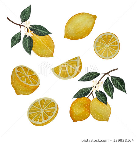 A watercolor illustration of a collection of juicy yellow lemons in various forms—whole fruit, branches with leaves, halves, wedges, and slices—set against a white background. This fresh and A watercolor illustration of a collection of juicy yellow lemons in various forms—whole fruit, branches with leaves, halves, wedges, and slices—set against a white background. This fresh and 129928164