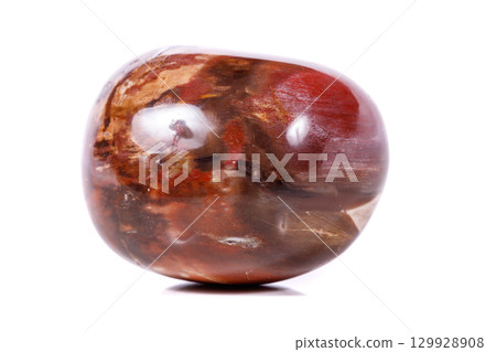 Macro mineral stone ground petrified tree on white background 129928908