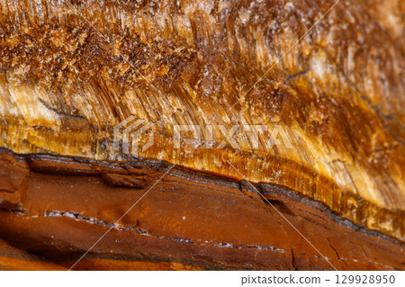 Macro mineral stone Tiger's eye in the breed on a white background Macro mineral stone Tiger's eye in the breed on a white background 129928950
