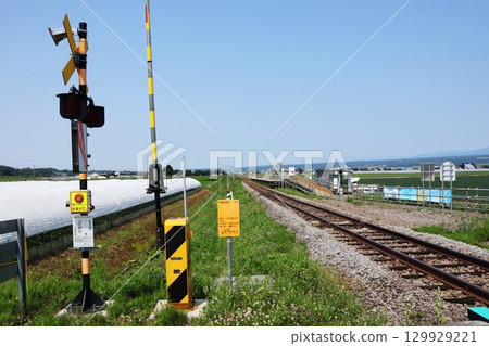 JR富良野線薰衣草花田站花期限時開放 129929221