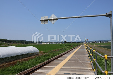 Lavender Field Station on the JR Furano Line opens for a limited time during the flowering season 129929224