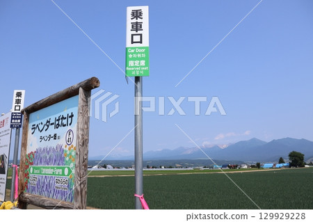JR富良野線薰衣草花田站花期限時開放 129929228
