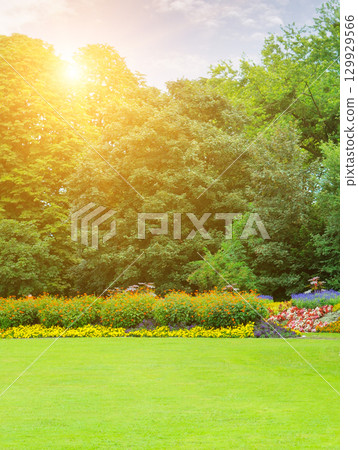 Peaceful Park Scene with Green Lawn and Flowers. Sunny Summer Day in a Beautiful Garden. 129929566